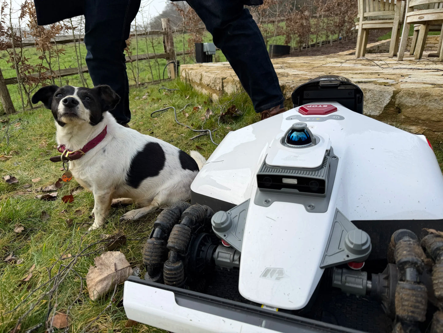 LUBA 3 AWD 3000 Wire-Free Robot Mower by Mammotion